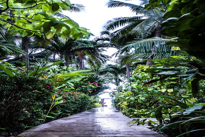 Imagen de los exteriores del Hotel Sans Souci Samui. Foto 7