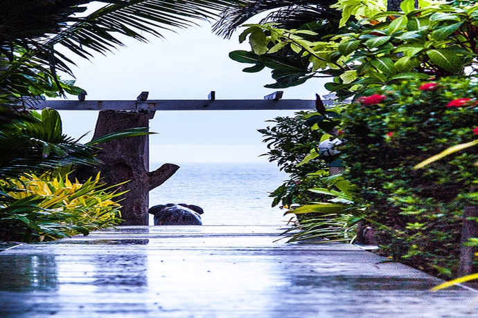 Imagen de la piscina del Hotel Sans Souci Samui. Foto 16