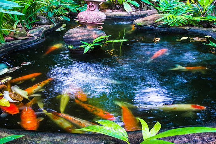 Imagen de los exteriores del Hotel Sans Souci Samui. Foto 12