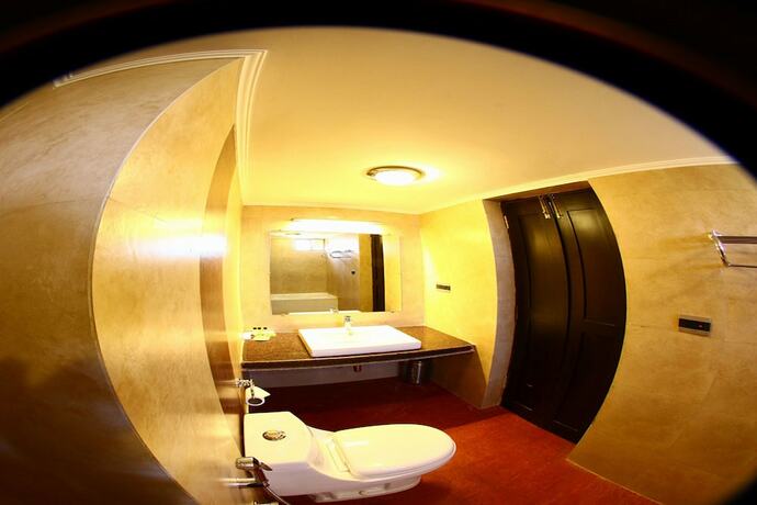 Imagen de la habitación del Hotel Sanskruti Quality Resort. Foto 16