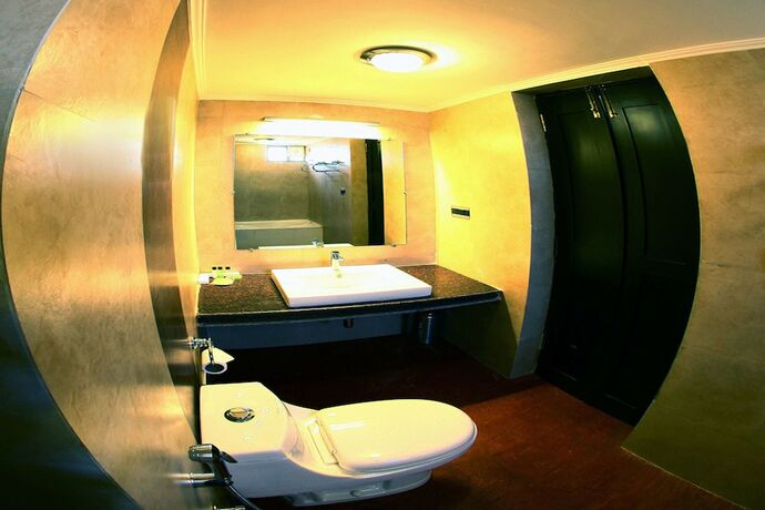 Imagen de la habitación del Hotel Sanskruti Quality Resort. Foto 18