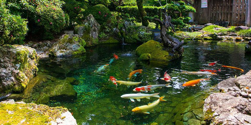 Imagen de los interiores del Hotel Sansuien. Foto 13