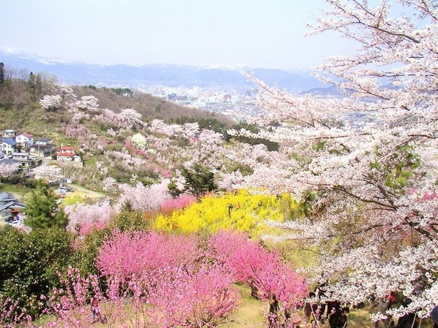 Imagen general del Hotel Sansuiso. Foto 2