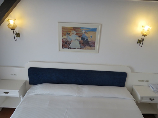 Imagen de la habitación del Hotel Santa Anna. Foto 8