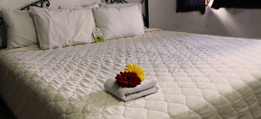 Imagen general del Hotel Santa Elena, San Salvador. Foto 10