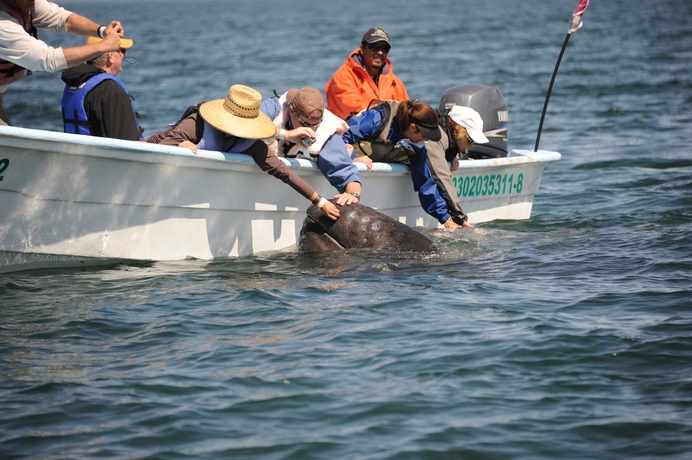 Imagen de los exteriores del Hotel Santa Fe Loreto By Villa Group. Foto 12