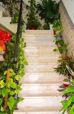 Imagen general del Hotel Santa Isabel, Portimao. Foto 4