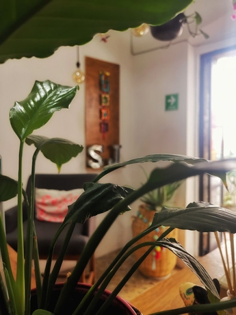 Imagen de los interiores del Hotel Santa Josefita Bed and Breakfast. Foto 15