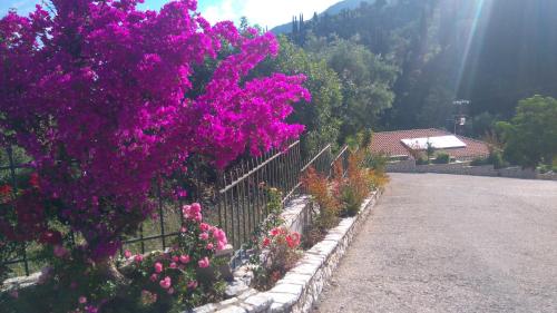 Imagen general del Hotel Santa Marina, Agios Nikitas. Foto 5