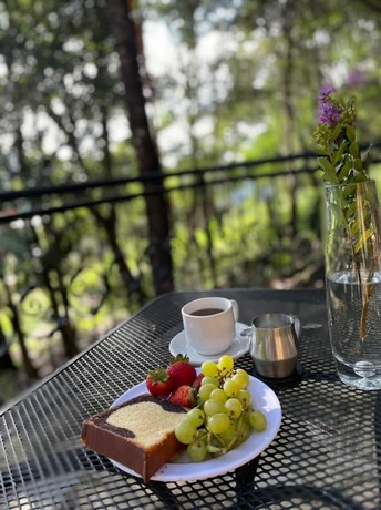 Imagen general del Hotel Santa Rosa Comitan. Foto 5