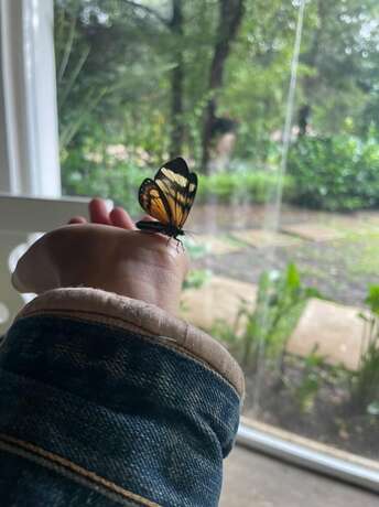 Imagen general del Hotel Santa Rosa Comitan. Foto 7