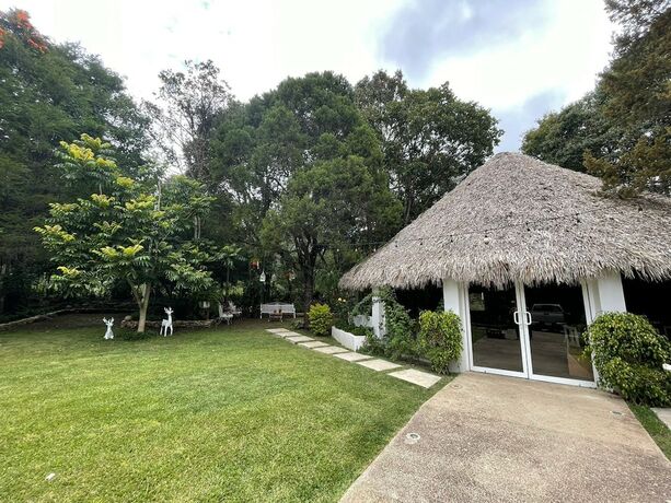 Imagen general del Hotel Santa Rosa Comitan. Foto 10