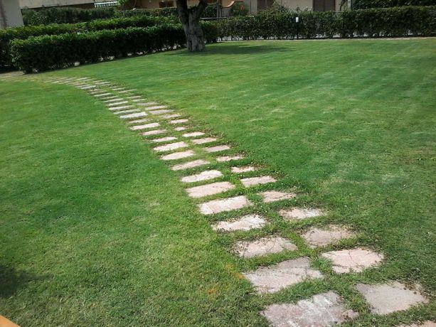 Imagen de los exteriores del Hotel Santa Rosa, Sangineto Lido. Foto 14
