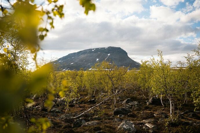 Imagen general del Hotel Santa\'s Rakka. Foto 8