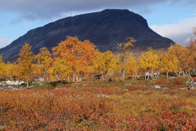 Imagen de la habitación del Hotel Santa\'s Rakka. Foto 17