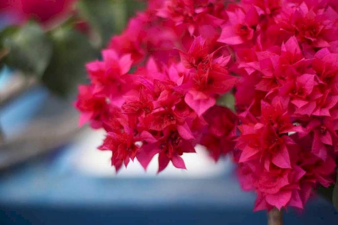 Imagen de los exteriores del Hotel Santellini. Foto 10