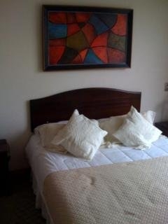 Imagen general del Hotel Santiago Apartments. Foto 3