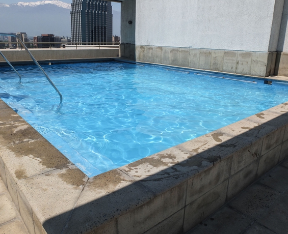 Imagen de la piscina del Hotel Santiago Furnished Apartments. Foto 15