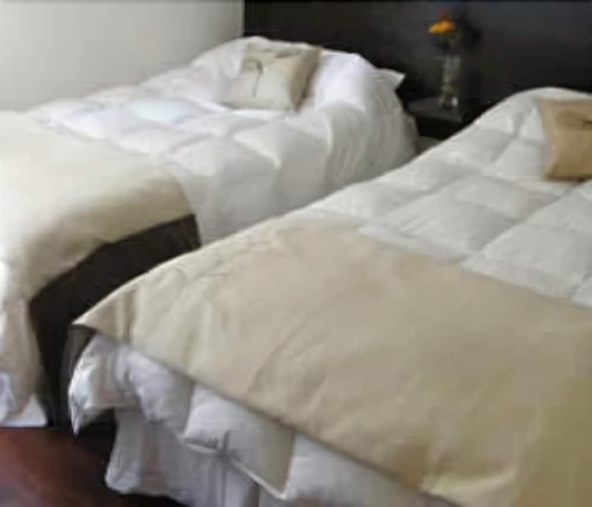 Imagen de la habitación del Hotel Santiago Suite Apartment. Foto 6