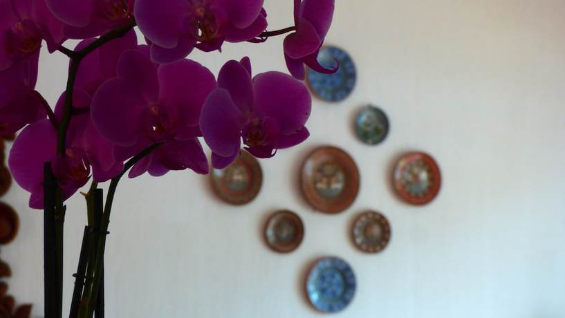 Imagen de los interiores del Hotel Santo Santiago. Foto 13