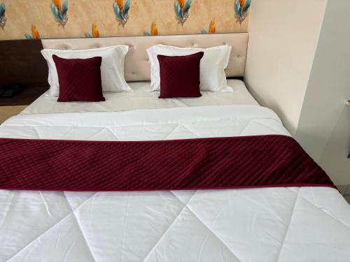 Imagen general del Hotel Santosh Palace. Foto 2