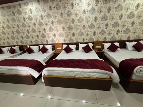 Imagen general del Hotel Santosh Palace. Foto 5