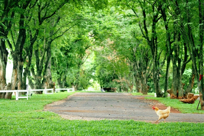Imagen de los exteriores del Hotel Santosha Health and Lifestyle Resort. Foto 14