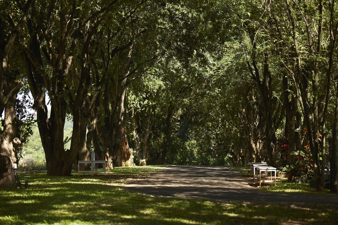 Imagen de los exteriores del Hotel Santosha Health and Lifestyle Resort. Foto 15