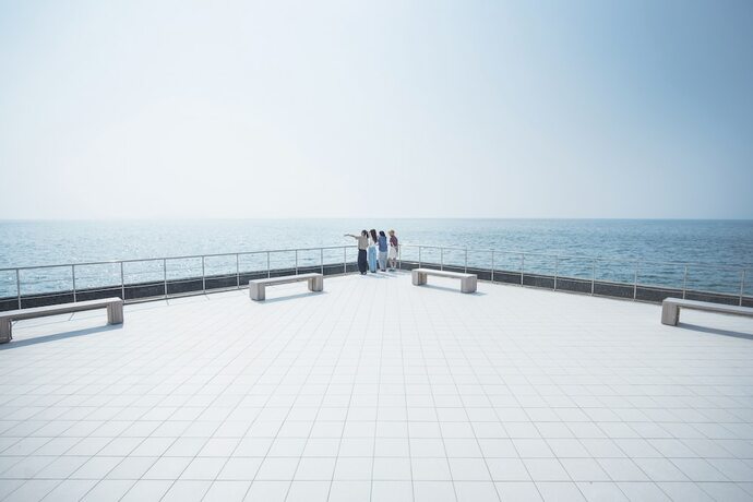 Imagen general del Hotel Sanuki mansion. Foto 8