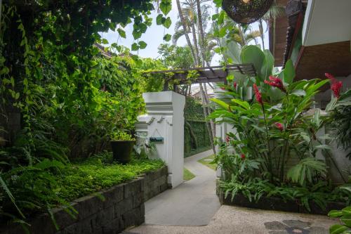 Imagen general del Hotel Sanur House, Sanur. Foto 4