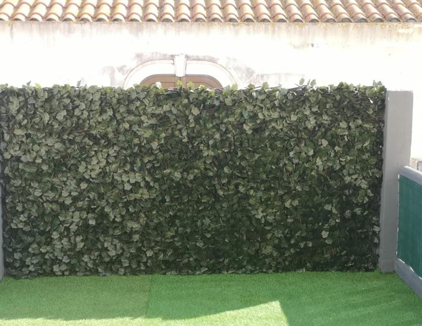 Imagen general del Hotel Sao Juliao. Foto 4