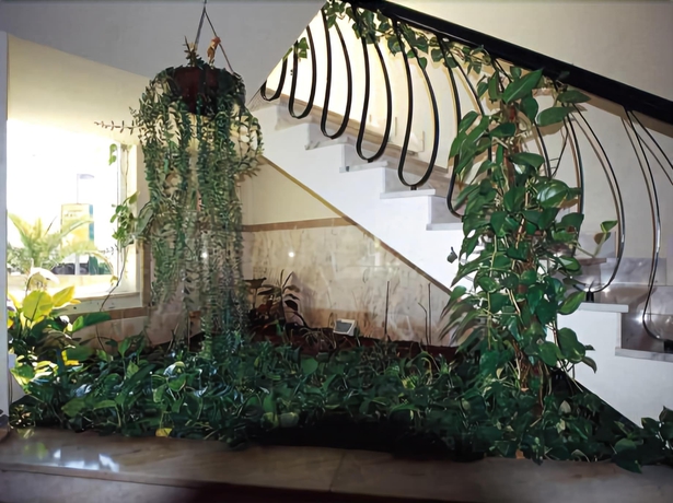 Imagen de los interiores del Hotel Sao Lourenco. Foto 9