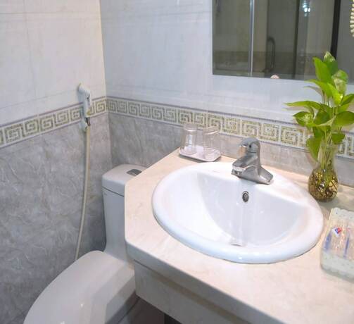 Imagen general del Hotel Sao Nguyen Ngoc Vu. Foto 4