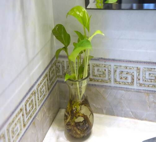 Imagen general del Hotel Sao Nguyen Ngoc Vu. Foto 14