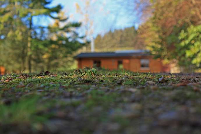 Imagen de la habitación del Hotel Saplinbrae and Lodges. Foto 5