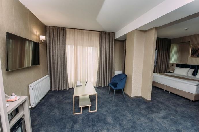 Imagen de la habitación del Hotel Sapphire Bakuriani. Foto 8
