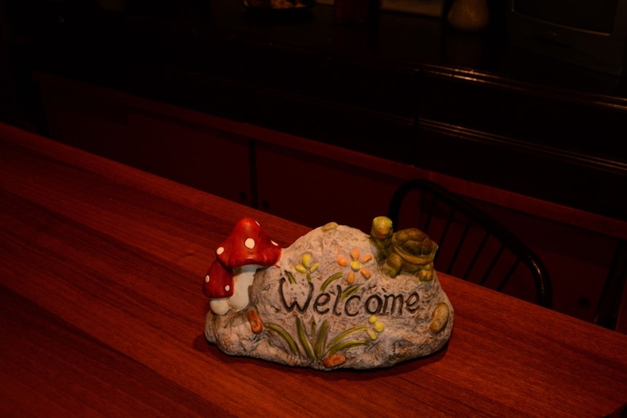 Imagen de los interiores del Hotel Sappho, Chliar&aacute;. Foto 18