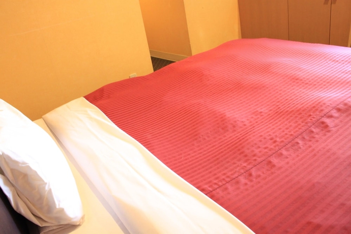 Imagen de la habitación del Hotel Sapporo Classe. Foto 4