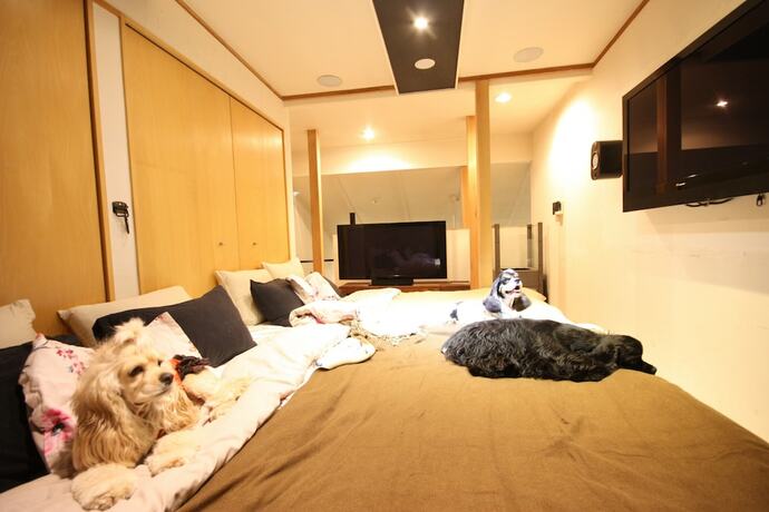 Imagen general del Hotel Sapporo Dome Front House. Foto 6