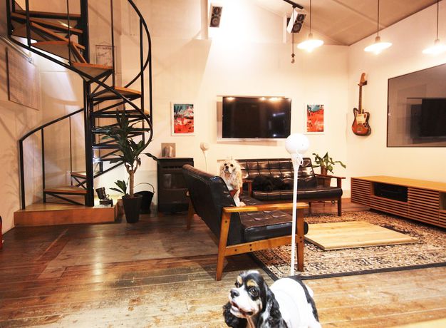 Imagen de la habitación del Hotel Sapporo Hiraoka Dog. Foto 9