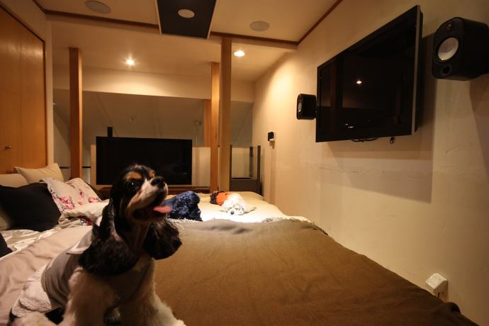 Imagen de la habitación del Hotel Sapporo Hiraoka Dog. Foto 13