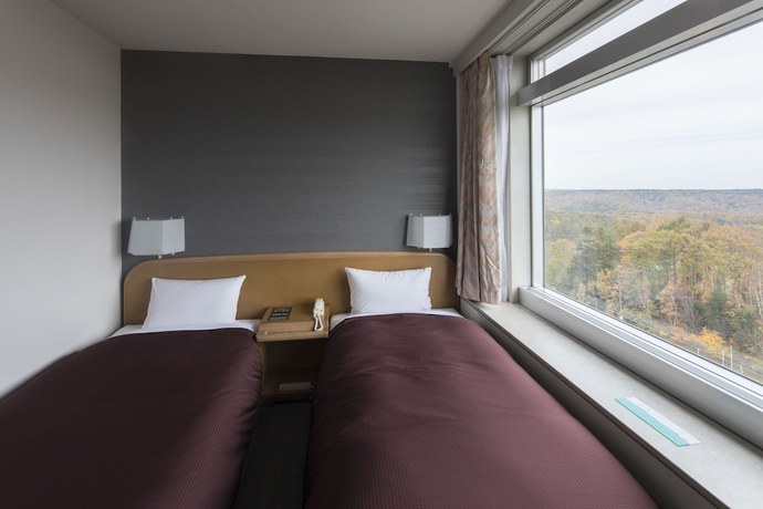 Imagen de la habitación del Hotel Sapporo Kitahiroshima Classe. Foto 7