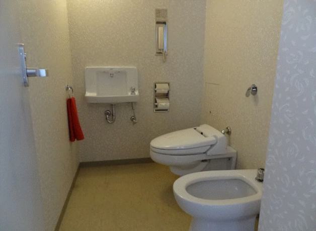 Imagen de la habitación del Hotel Sapporo Kitahiroshima Classe. Foto 10