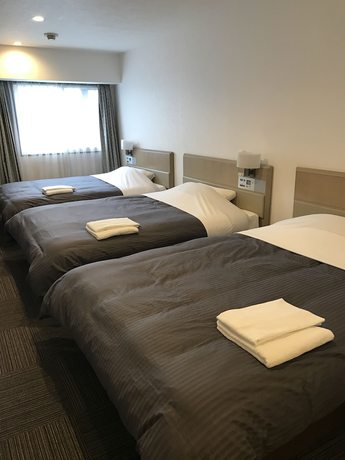 Imagen de la habitación del Hotel Sapporo Oriental. Foto 10