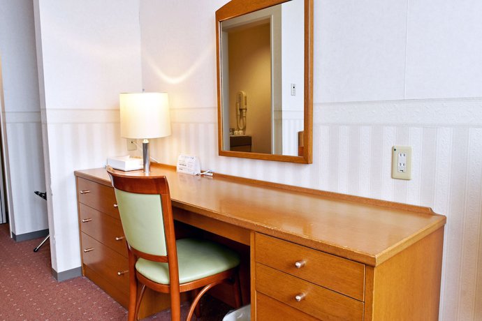 Imagen de la habitación del Hotel Sapporo Sunplaza. Foto 15