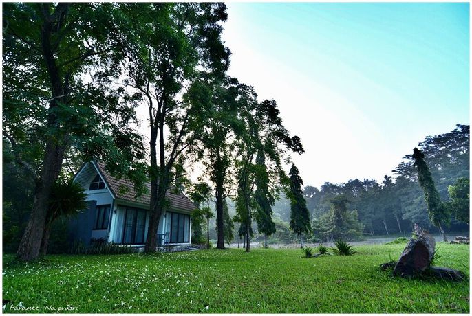 Imagen de los interiores del Hotel Sappraiwan Elephant Resort and Sanctuary. Foto 19