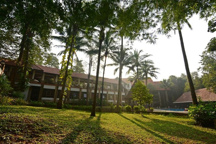 Imagen general del Hotel Sappraiwan Elephant Resort and Sanctuary. Foto 3