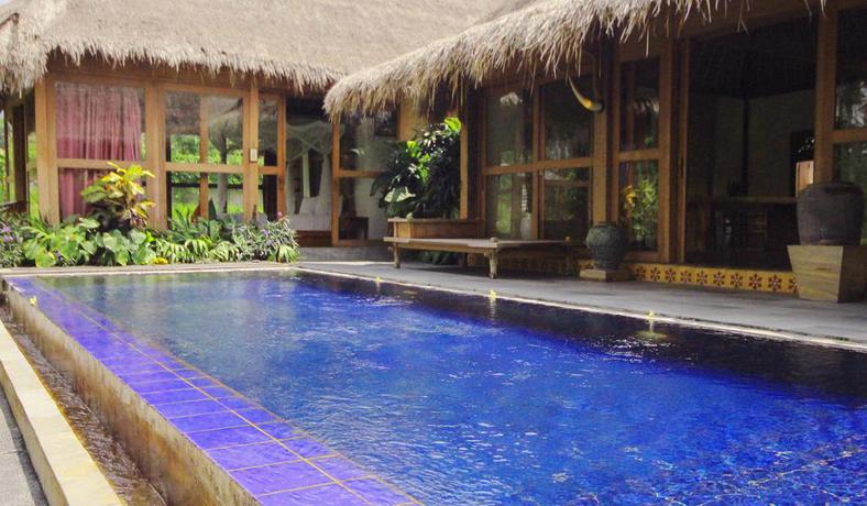 Imagen de la piscina del Hotel Sapulidi Resort Spa and Gallery. Foto 14