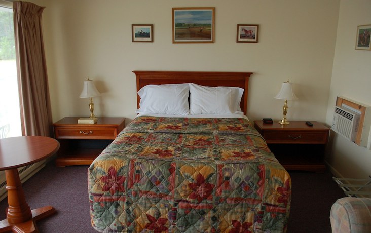 Imagen de la habitación del Hotel Sara Glen Motel. Foto 4