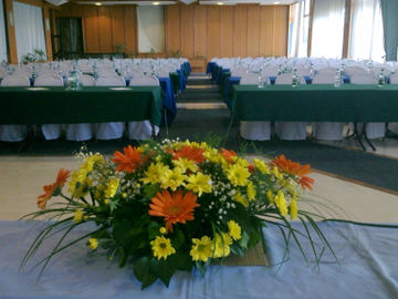 Imagen de los interiores del Hotel Saraj. Foto 11
